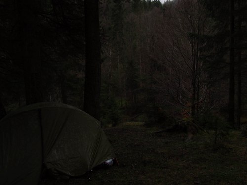 Ночевка у Говерлянского лесничества. Автор фото - Vobbler.