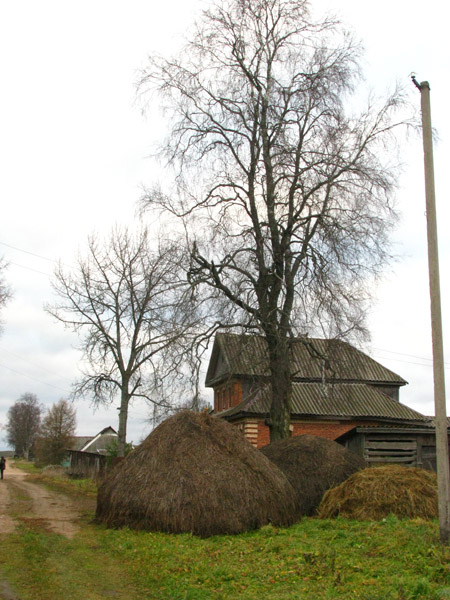 Деревня Старово